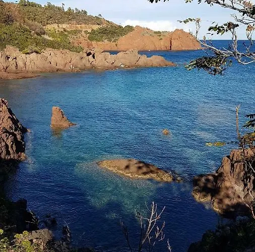 Raphael - Dans Au Calme à Valescure Y- Prix Inchangés * Saint-Raphaël